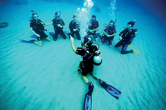Dive Master Course (PADI or SSI) 코스